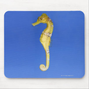 Seahorse Mouse Mat