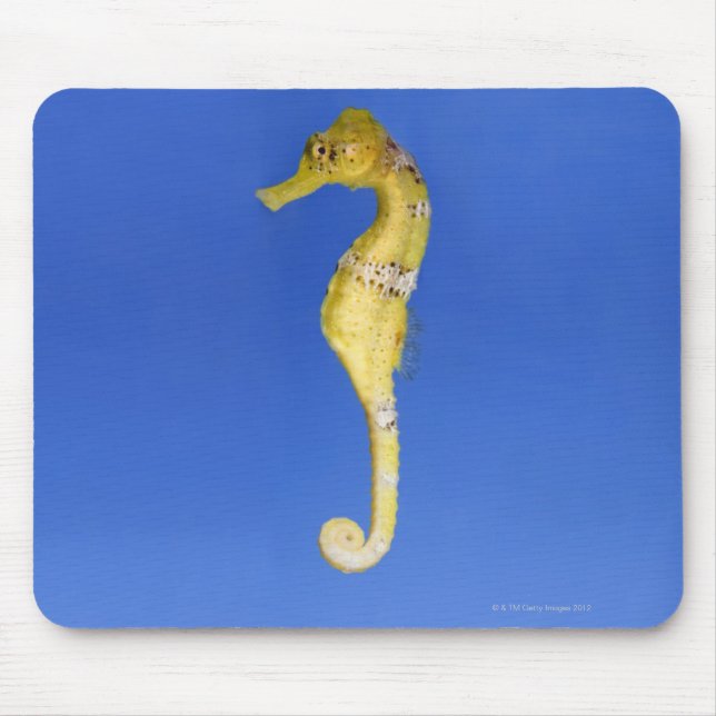 Seahorse Mouse Mat (Front)