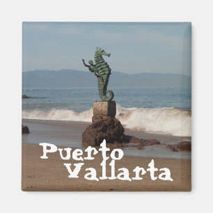 Seahorse Out of Water; Mexico Souvenir Magnet