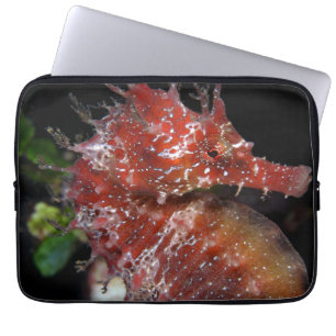 Seahorse Pony Female Begur Laptop Sleeve