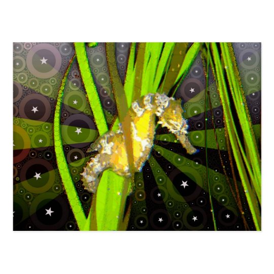 Seahorse Postcard