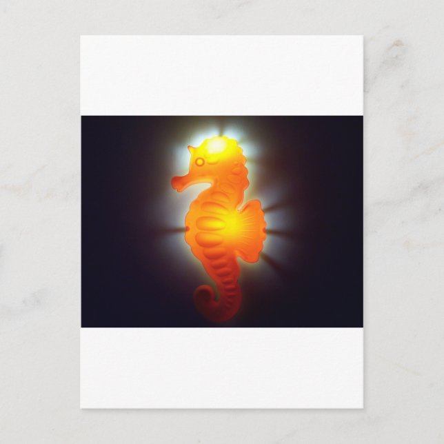 Seahorse Postcard (Front)