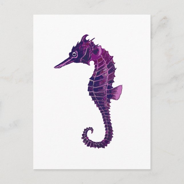 Seahorse Postcard (Front)