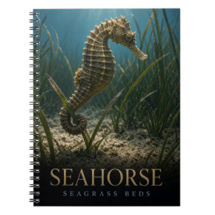 Seahorse Seagrass Beds Wildlife ANIMAL Notebook