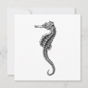 SEAHORSE SEALIFE FLAT CARD