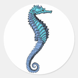 Seahorse Sticker