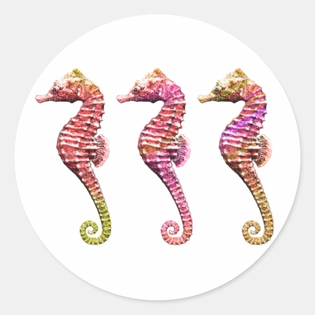 Seahorse Trio in Reds Classic Round Sticker (Front)