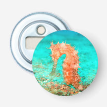Seahorse tropical carribean turquoise orange 