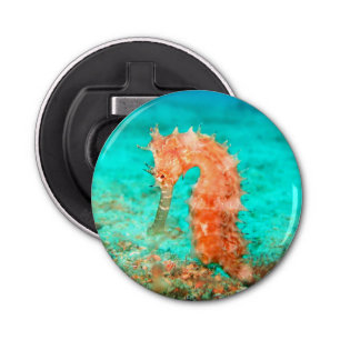 Seahorse tropical carribean turquoise orange bottle opener