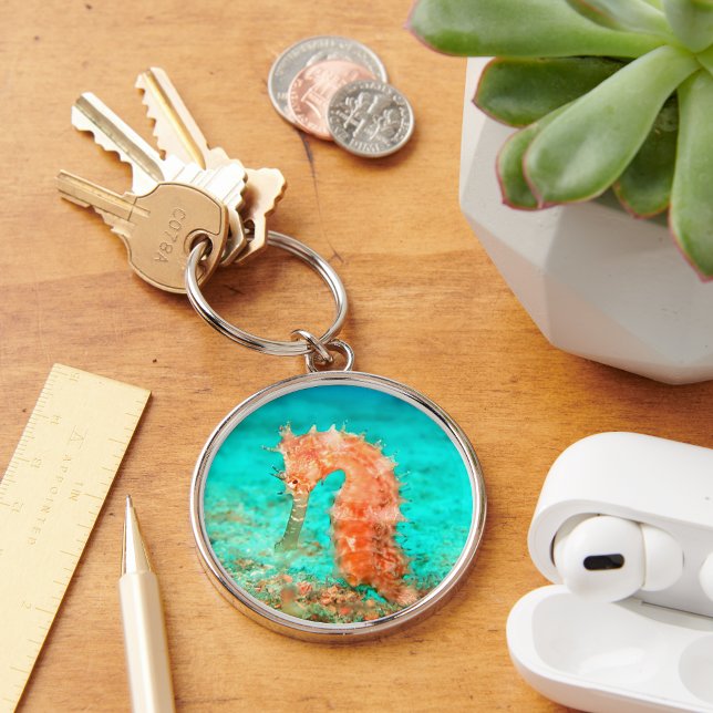 Seahorse tropical carribean turquoise orange  key ring (Creator Uploaded)