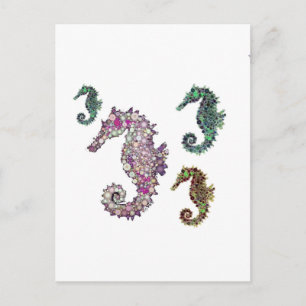 Seahorses Art by LeahG Postcard
