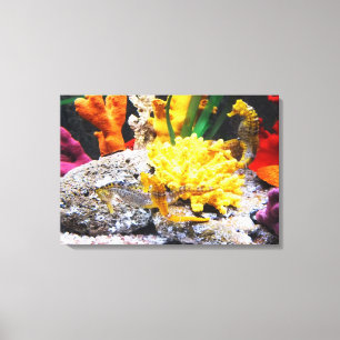 Seahorses Canvas Print