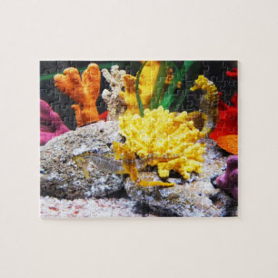 Seahorses Jigsaw Puzzle