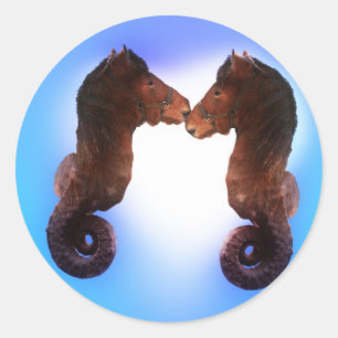 Seahorses Made For Each Other Classic Round Sticker