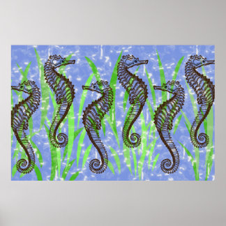 SEAHORSES Poster