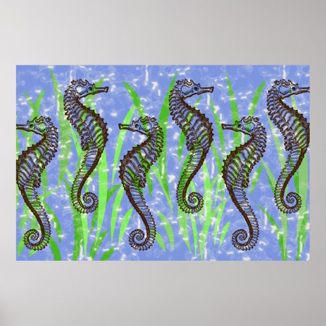 SEAHORSES Poster (Front)