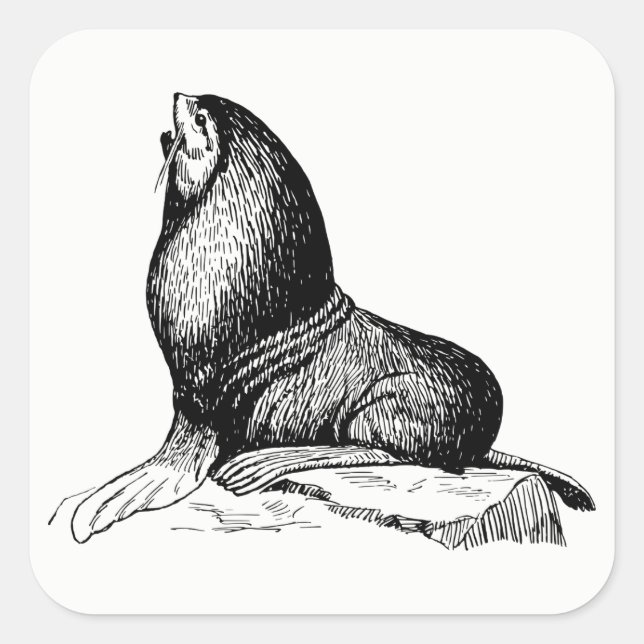 Seal (Front)