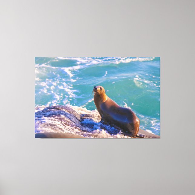 Seal 1- What you looking at! Canvas Print (Front)