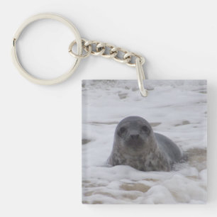 Seal - Animal Image Acrylic Square Keychain