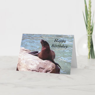 Seal Birthday Card