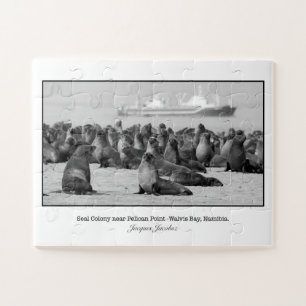 Seal Colony near Pelican Point Jigsaw Puzzle