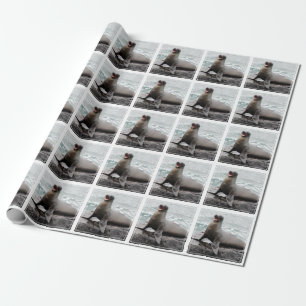 Seal Custom background colour Wrapping Paper