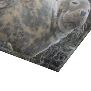 Seal Cutting Board