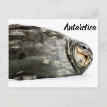 'Seal-ed With a Kiss'