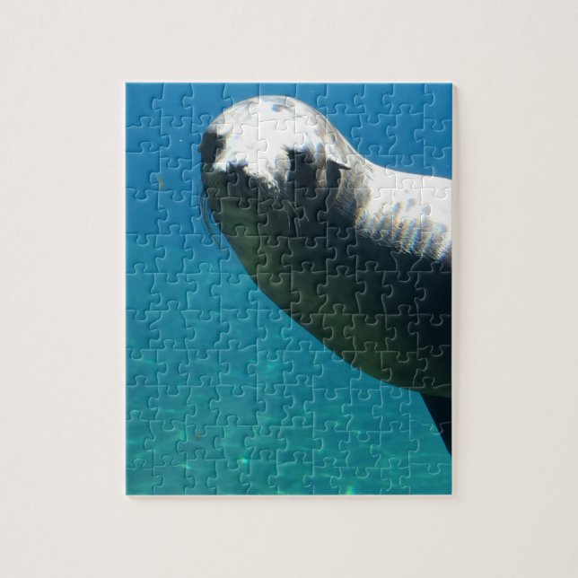 Seal Jigsaw Puzzle (Vertical)