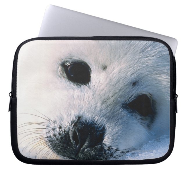 Seal Laptop Sleeve (Front)