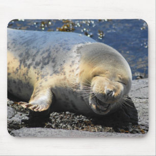seal laughing, cute giggling seal, cute seal pup mouse mat