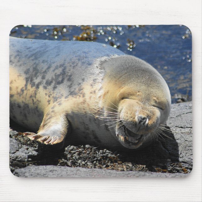 seal laughing, cute giggling seal, cute seal pup mouse mat (Front)