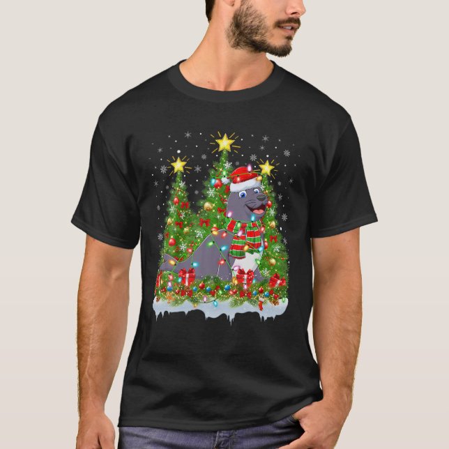 Seal Lighting Xmas Tree Lover Funny Seal Christmas T-Shirt (Front)