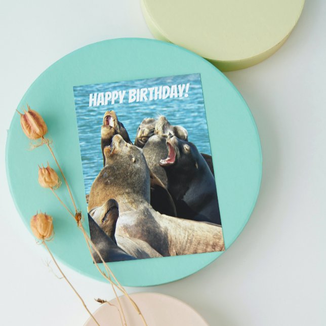 Seal Lions Photo From All Birthday Card (In Situ)