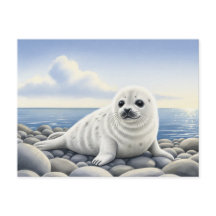 Seal of Approval Baby Wild Animals Postcard