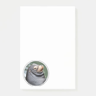 Seal of Disapproval 4x6 Notes