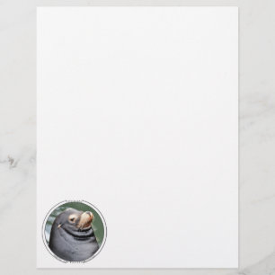 Seal of Disapproval 8.5x11 Stationery Custom Letterhead