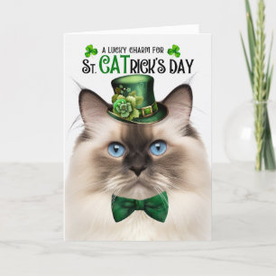 Seal Point Ragdoll Lucky Charm St CATrick's Day Holiday Card