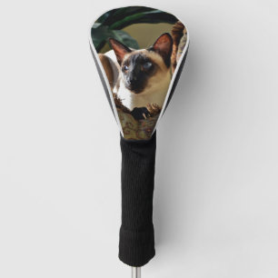 Seal Point Siamese Cat on Comfy Pillow Golf Head Cover