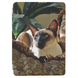 Seal Point Siamese Cat on Comfy Pillow iPad Air Cover
