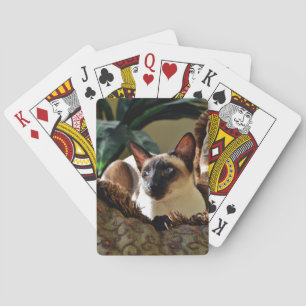 Seal Point Siamese Cat on Comfy Pillow Playing Cards