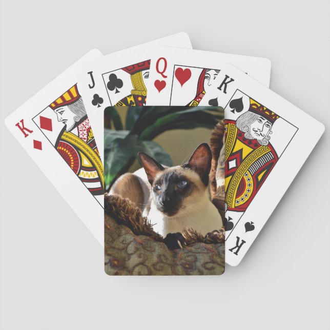 Seal Point Siamese Cat on Comfy Pillow Playing Cards (Back)