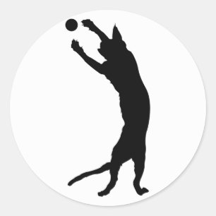 Seal Point Siamese Cat Silhouette Sticker