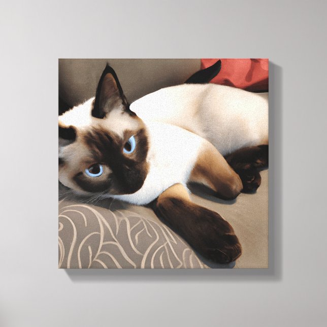 Seal Point Siamese Digital Portrait   Canvas Print (Front)