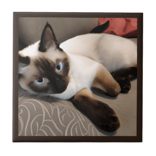 Seal Point Siamese Digital Portrait    Tile
