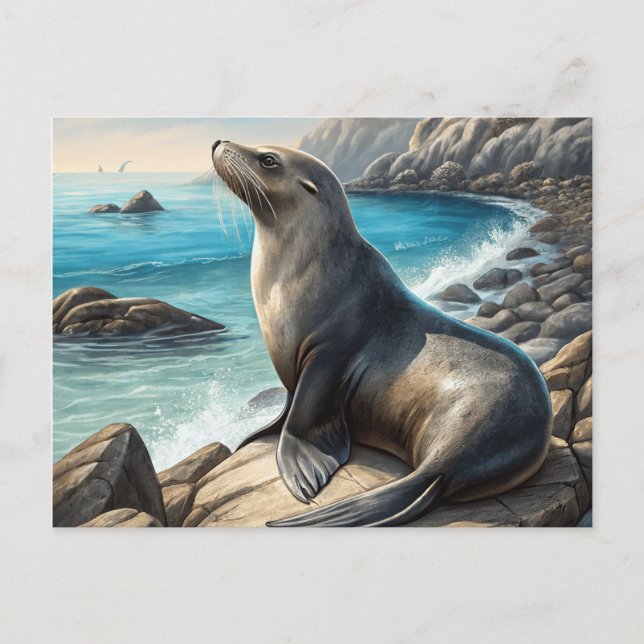 Seal Postcard (Front)