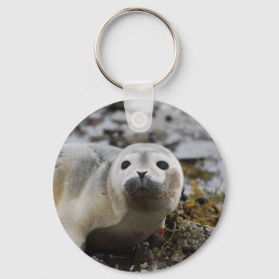 Seal Pup Keychain