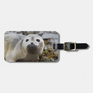 Seal Pup Luggage Tag