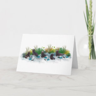 Seal Pup Party Card