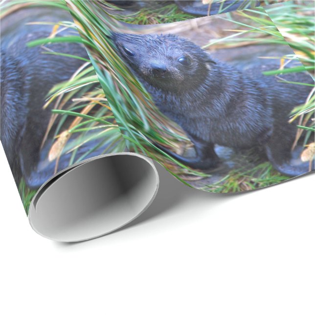 Seal Pup Wrapping Paper (Roll Corner)